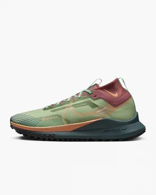 Кроссовки женские Nike Pegasus Trail 4 Gore-Tex Green Dj7929-300