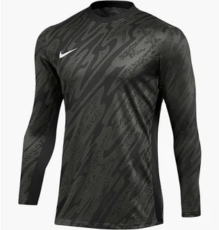 Лонгслив мужской Nike Dri-Fit Gardien V Gk Jsy Ls Black/Grey FD7474-060