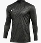 Лонгслив мужской Nike Dri-Fit Gardien V Gk Jsy Ls Black/Grey FD7474-060