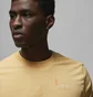Футболка чоловіча Air Jordan T-Shirt Essentials Yellow DX9577-266