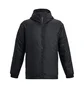 Куртка мужская Under Armour Cgi Down Lightweight Black 1378840-001