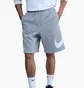 Шорты мужские Nike Club Bb Gx Grey FN3906-063