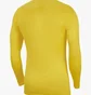 Термобілизна чоловіча Nike M Nk Df Park 1Stlyr Jsy Ls Yellow Av2609-719
