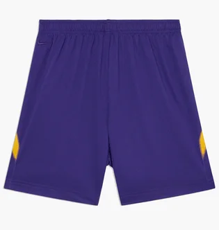 Шорти чоловічі Nike Kb U Nk Df Fund 6In Short Violet HJ8103-547