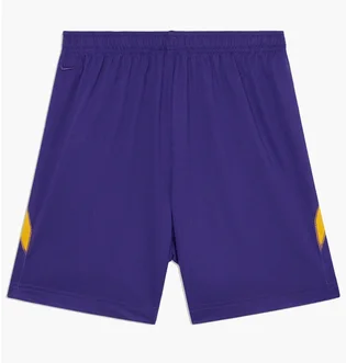 Шорты мужские Nike Kb U Nk Df Fund 6In Short Violet HJ8103-547