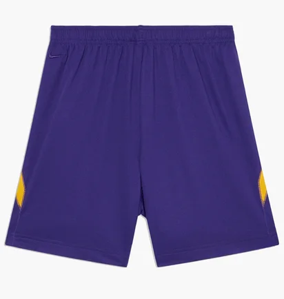 Шорти чоловічі Nike Kb U Nk Df Fund 6In Short Violet HJ8103-547