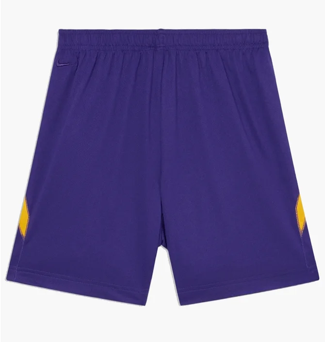 Шорти чоловічі Nike Kb U Nk Df Fund 6In Short Violet HJ8103-547