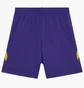 Шорти чоловічі Nike Kb U Nk Df Fund 6In Short Violet HJ8103-547