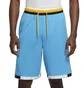 Шорты мужские Nike Dri-Fit Dna Move 2 Zero Blue DA5844-416