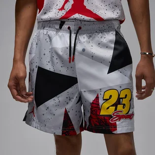 Шорти чоловічі Air Jordan Essentials MenS 5 Poolside Shorts Grey IB8818-011