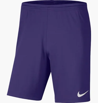 Шорти чоловічі Nike Shorts Dri-Fit Park 3 Violet BV6855-547
