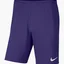 Шорты мужские Nike Shorts Dri-Fit Park 3 Violet BV6855-547