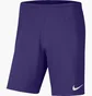 Шорти чоловічі Nike Shorts Dri-Fit Park 3 Violet BV6855-547