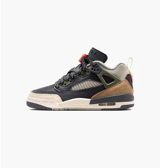 Кросівки дитячі Air Jordan Spizike Low Grey/Multi FQ3950-007
