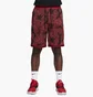 Шорты мужские Nike Dri-Fit Dna 25,5 Cm Red/Black FB6928-657