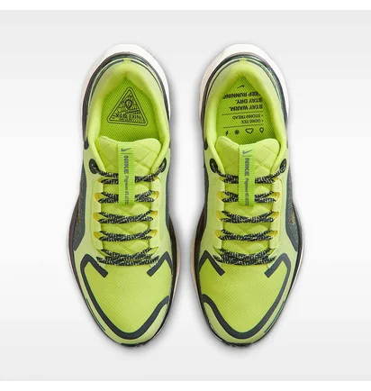 Кросівки жіночі Nike Pegasus 41 Gore Tex Green FQ1357-300