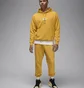 Худи мужское Air Jordan Essentials Statement Fleece Washed Pullover Hoodie Yellow FB7290-752