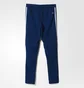 Штаны детские Adidas Tiro17 Trg Blue Bs3686