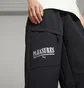 Штаны мужские Puma Cargo  X Pleasures Black 620881-01