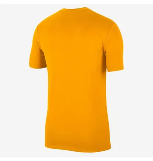 Футболка мужская Nike Giannis Swoosh Freak Dri-Fit Yellow CV1095-739