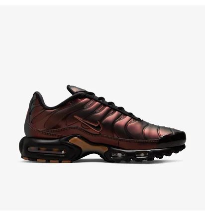 Кросівки чоловічі Nike Air Max Plus Og Brown/Black Dh4778-001