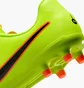 Бутсы детские Nike Legend 10 Club Fg/Mg Green DV4352-701