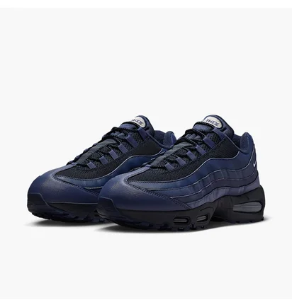Кроссовки мужские Nike Air Max 95 Violet/Black IB1667-500