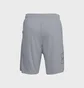 Шорты мужские Under Armour Tech Graphic Pocketed Grey 1306443-035
