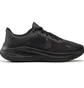 Кроссовки мужские Nike Winflo 8 Black CW3419-002