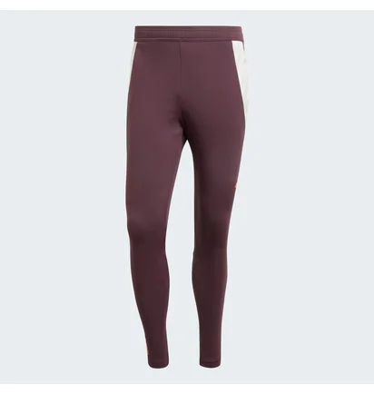 Штаны мужские Adidas Fc Bayern Tiro 24 Training Bordo IS9939
