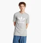 Футболка мужская Adidas Adicolor Classics Trefoil Tee Grey IM4504