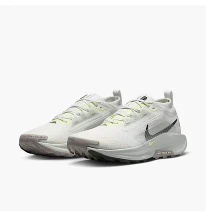 Кросівки чоловічі Nike Pegasus Trail 5 Gtx White FQ0908-102
