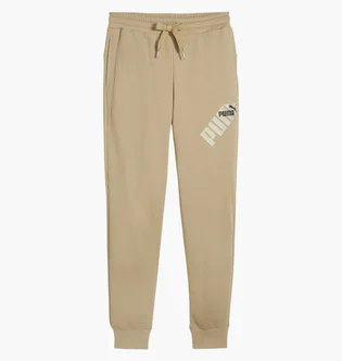 Штани чоловічі Puma Power Graphic Beige 678936-83