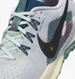 Кросівки жіночі Nike Pegasus Trail 5 Trail Running Shoes White DV3865-100