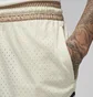 Шорты унисекс Air Jordan Dri-Fit Sport Beige DX1487-113