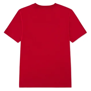 Футболка детская Air Jordan Jumpman Big Kids T-Shirt Red 952423-R78
