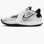 Кросівки унісекс Nike Kyrie Low 5 Tb White DO9617-100