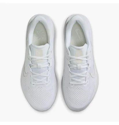 Кросівки жіночі Nike Quest 6 White FD6034-106