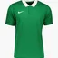 Поло чоловіче Nike Shirt M Nk Df Park20 Polo Ss Green CW6933-302