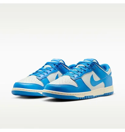 Кросівки чоловічі Nike Dunk Low Retro MenS Shoes Blue HF5441-002