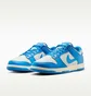 Кросівки чоловічі Nike Dunk Low Retro MenS Shoes Blue HF5441-002