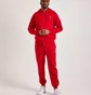 Толстовка мужская Air Jordan Brooklyn Full-Zip Fleece Hoodie Red FV7289-687