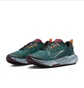 Кросівки чоловічі Nike Juniper Trail 2 Gore-Tex Turquoise FB2067-300