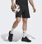 Шорты мужские Adidas Tiro 23 League Sweat Shorts Black Hs3592