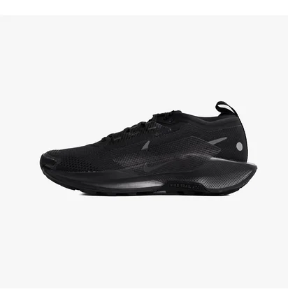 Кроссовки мужские Nike Pegasus Trail 5 Gore-Tex Black FQ0908-002