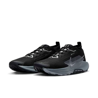 Кросівки чоловічі Nike Pegasus Trail 5 Gore-Tex Black FQ0908-001