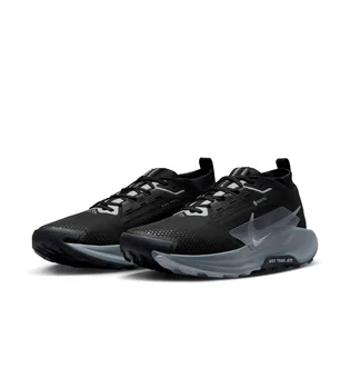 Кроссовки мужские Nike Pegasus Trail 5 Gore-Tex Black FQ0908-001