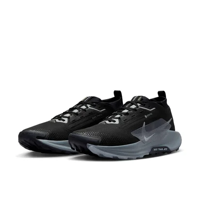 Кросівки чоловічі Nike Pegasus Trail 5 Gore-Tex Black FQ0908-001