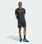 Шорты мужские Adidas Mercedes - Amg Petronas Formula One Team Dna Black JV5429