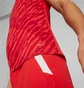Футболка чоловіча Puma Teamultimate Red 705371-01